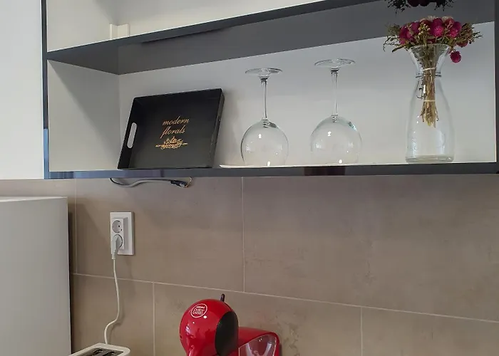 New Business 7 Centar Apartment Skopje